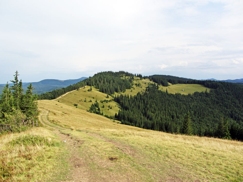 Ліснів